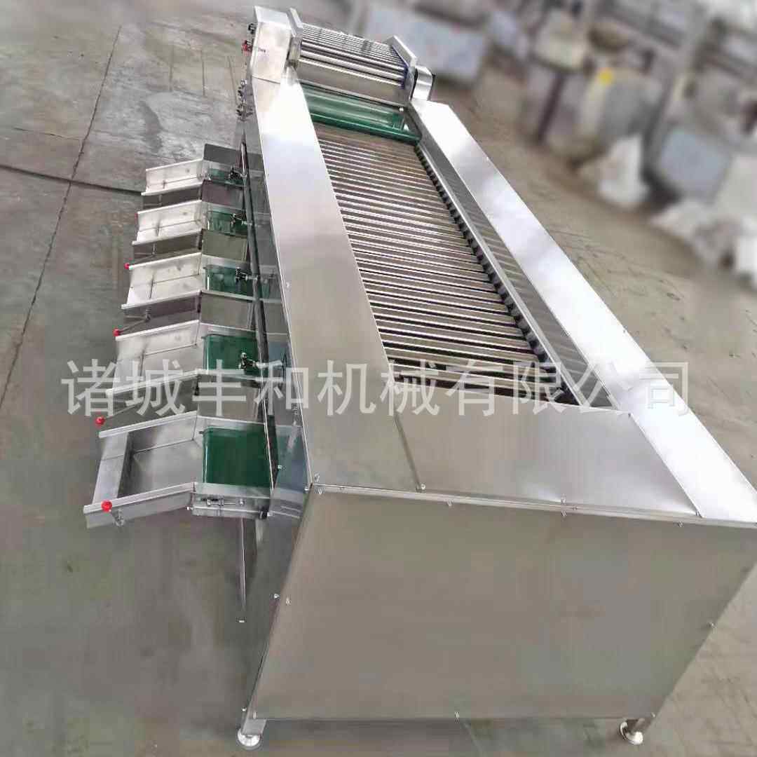 蔬菜分级机 不锈钢滚杠式分选设备厂家 香芋分级机 甜菜根分级机