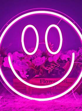 led霓虹灯透明背板笑脸黄色粉色热卖5vUSB供电气氛装饰灯