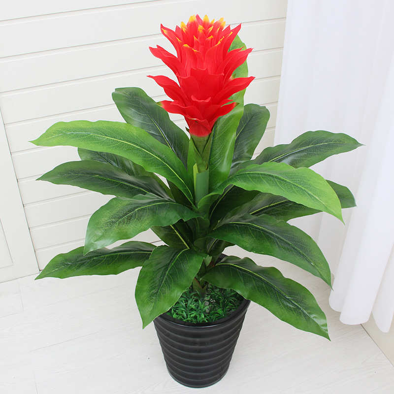 花红掌客厅装饰绿牡丹摆件居家植物植假当头花假鸿运盆栽仿真装饰