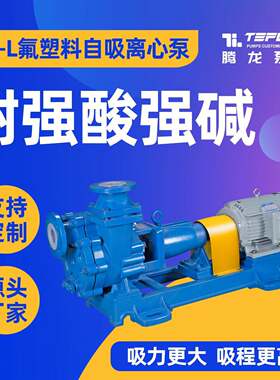 腾龙50FZB-45L低液位化工泵 耐酸碱化工氟塑料自吸离心泵厂家