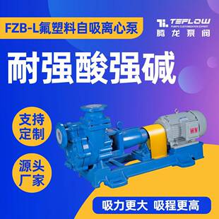 65FZB 离心泵氟塑料氢氟酸泵化工液体提升泵腾龙泵阀 30L自吸式