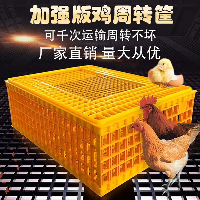 塑料鸡笼运输笼特大成鸡周转箱鸡鸭鹅兔笼鸽笼家用鸡筐加厚鸡笼子