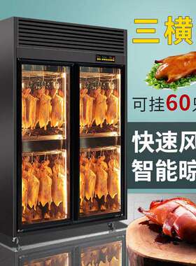 商用智能晾鸭柜风干保鲜晾胚柜烤鸭风干柜烤鸡烤乳鸽除湿展示柜