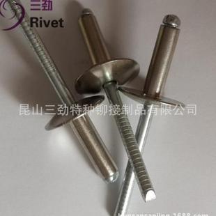 不釘銹鋼釘全拉不銹鋼抽芯ZRF鉚大頭邊子拉釘開口型頭拉鉚圓釘