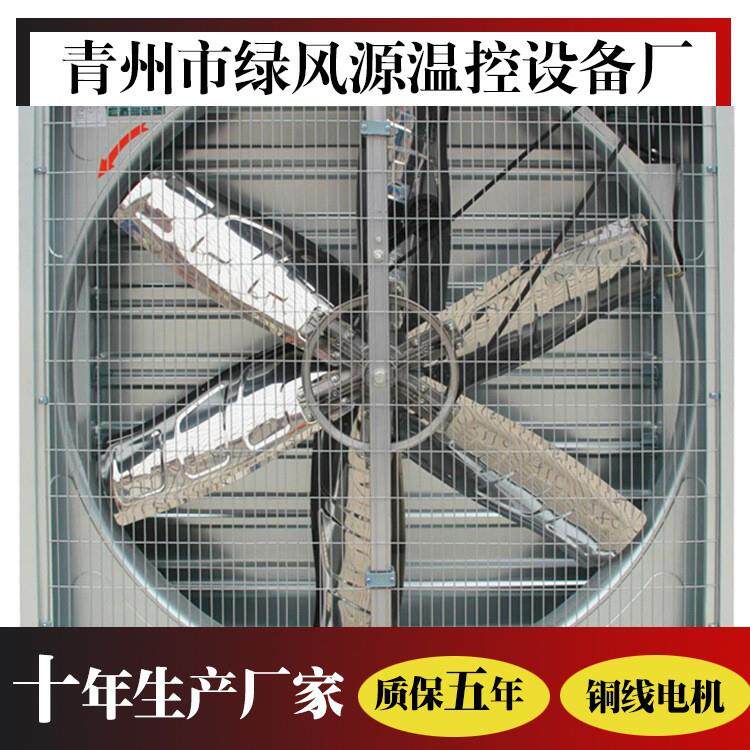 工业风机 大功率1530型重锤负压风机 网吧工厂畜牧 负压风机