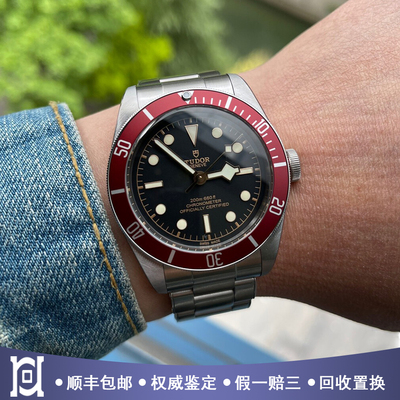 帝舵碧湾系列41mm精钢小红盾98新自动机械男士手表M79230R-0012