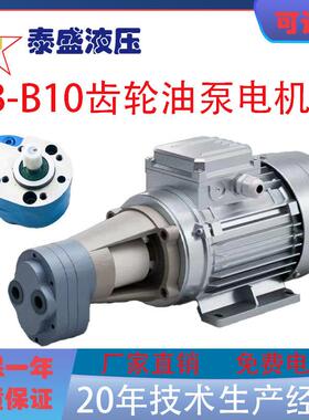 齿轮油泵电机组CB-B10 CB-B6 CB-B4 CB-B2.5JZ输油泵 立卧润滑泵