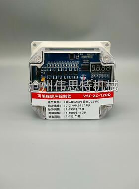 在线可编程脉冲控制仪24v除尘脉冲控制器TD-8/10/12/24/30/40Z/L