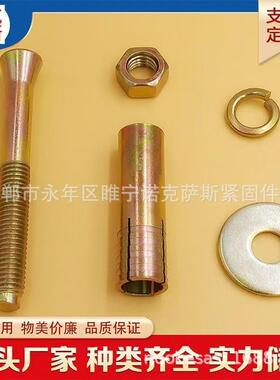 国标梯专8用膨胀螺2丝重型加厚膨胀壁虎电梯膨电胀螺栓M447M10M1M