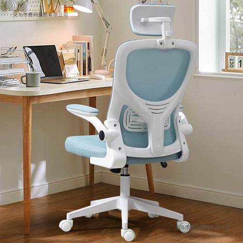 人PCK体工椅学习电脑椅家用舒坐适久主播办公椅椅升学降座椅宿舍