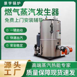 0.5吨燃油器蒸汽发生器1吨燃油蒸汽发生器道路养护高速供暖食品厂