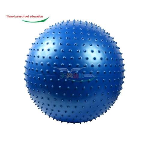 新款儿官训练益龙智玩具珠传童感统早教家庭健身器材按摩瑜伽球