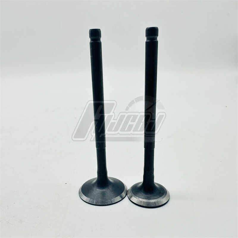 适配望江望龙新本三本五本摩托车仿UY125踏板车进排气门组合K25