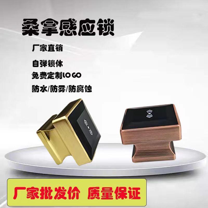 直销桑拿锁感应锁浴室更衣柜锁储物柜电子刷卡柜门锁ic卡