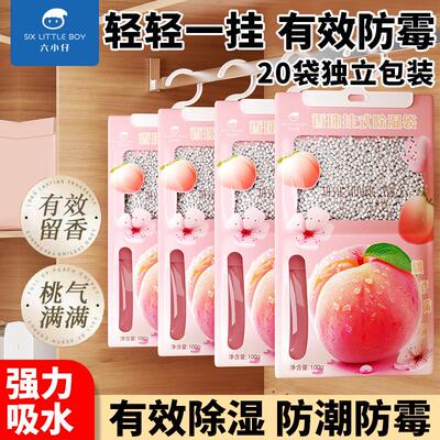 Hanging Dehumidifier Bag for Moisture and Mold Prevention, W