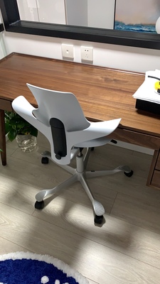 SB Seating电脑椅经历告诉我们能买这吗