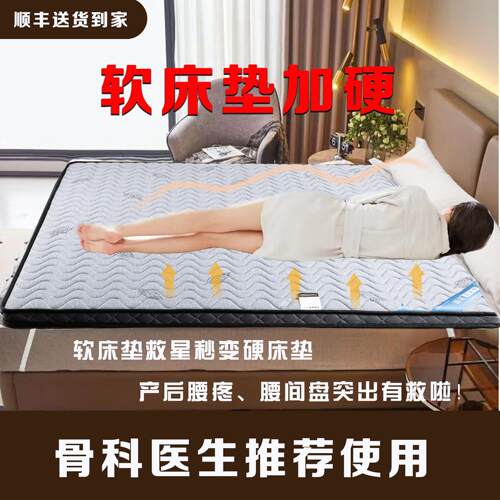 软床垫加硬神器床太软加硬垫薄护脊椎椰棕床垫环保天然棕榈改硬垫