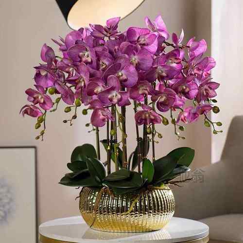 麓r高档假花超真超大盆栽保湿蝴蝶兰仿真花套装客厅玄关装饰花艺