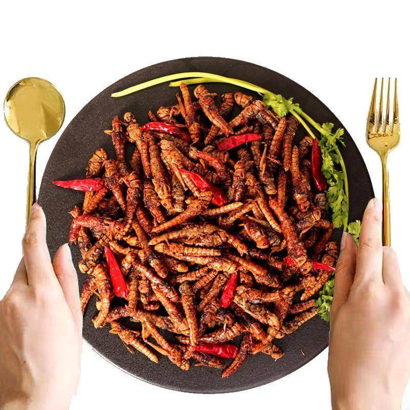 香脆油炸蚂蚱即食蝗虫低价小吃零食便宜下酒菜烧烤麻辣昆虫熟食品