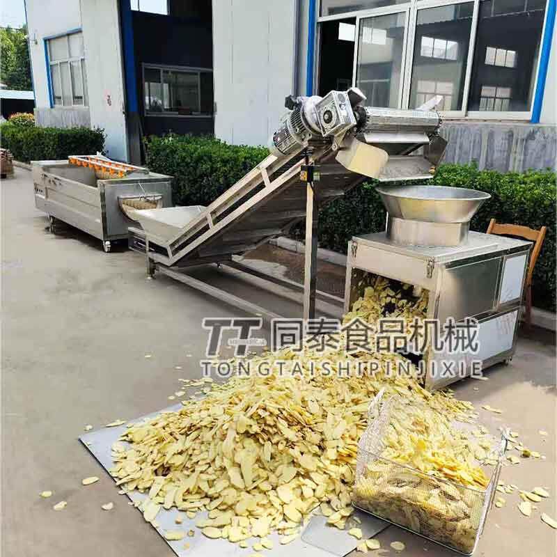 厂家新品大产量沙姜切片机 生姜片切割设备 果蔬定向切片机器