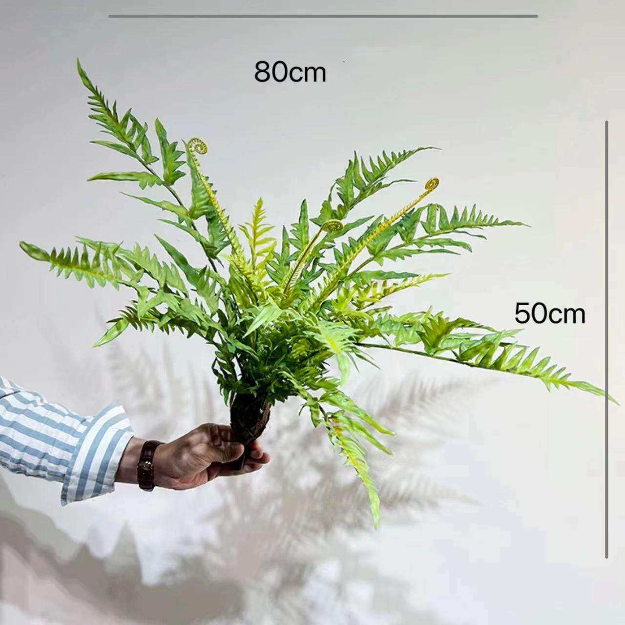 TQK含仿真森庭院台植物阳墙花槽装饰排猴头蕨草羊齿蕨草束阳盆栽