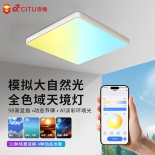 智能全多色域光晴空灯LE天镜吸顶灯全谱客厅灯74586卧室护眼D彩吸