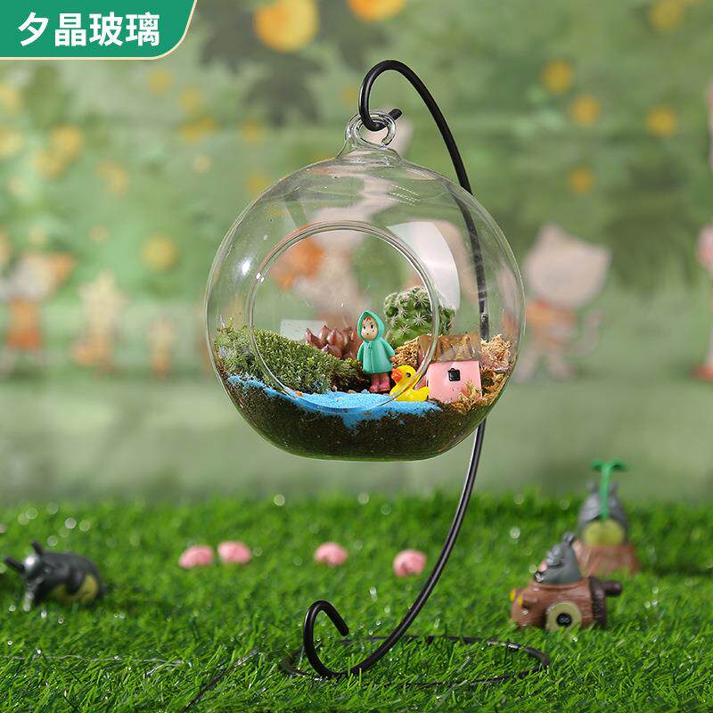 创意微景观旁口玻璃花瓶苔藓多肉DIY生态瓶水晶玻璃家居饰品微型