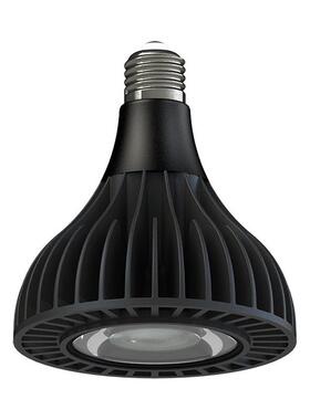 全光谱LED植物生长 PAR38 40W花卉蔬菜绿植 Par38育苗补光灯 98显