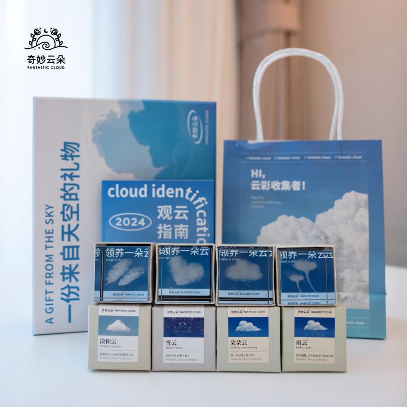 领养一朵云奇妙云朵创意摆件生日礼物送女友男友小众高级毕业礼物