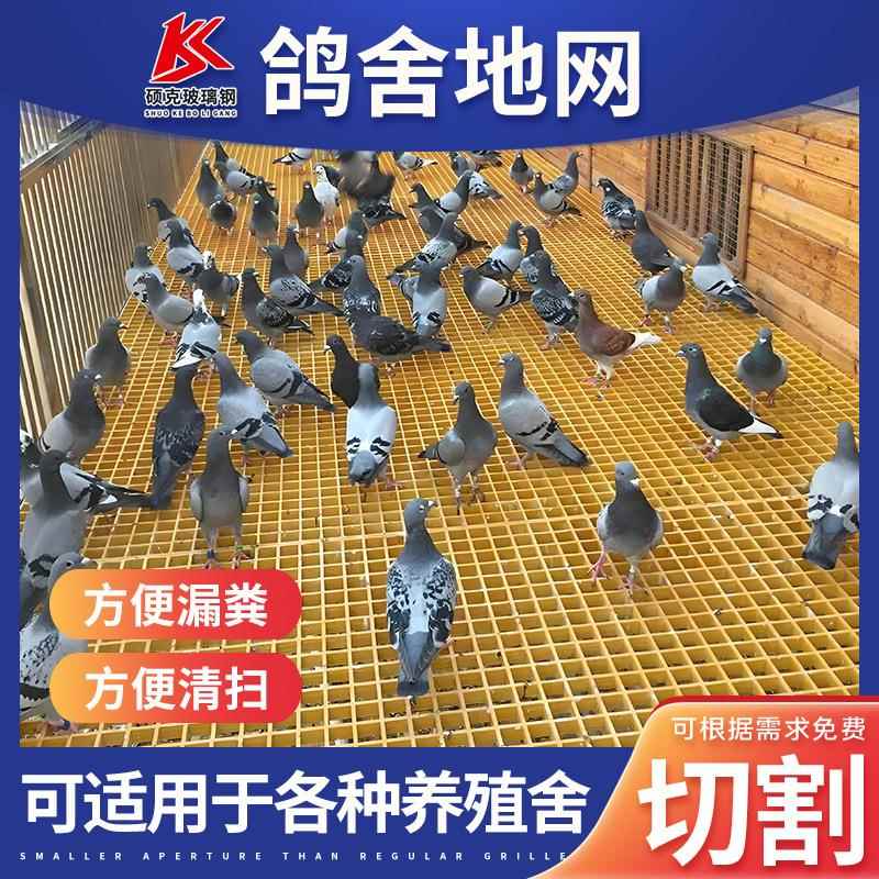 鸽舍地网养殖场玻璃钢地沟盖板排水沟污水盖板网格板信鸽漏粪板