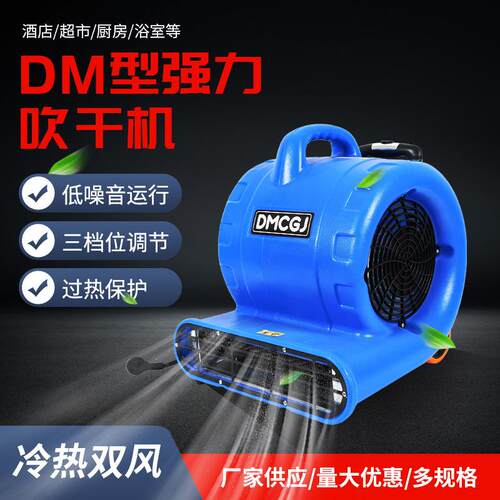DM型强力吹干机地面地毯酒店宾馆清洁吹地机TF950型散热通风机