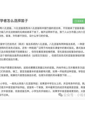 正品包Anndes八孔英式音音竖笛 209 小学乐课高课堂乐器 邮包刻字