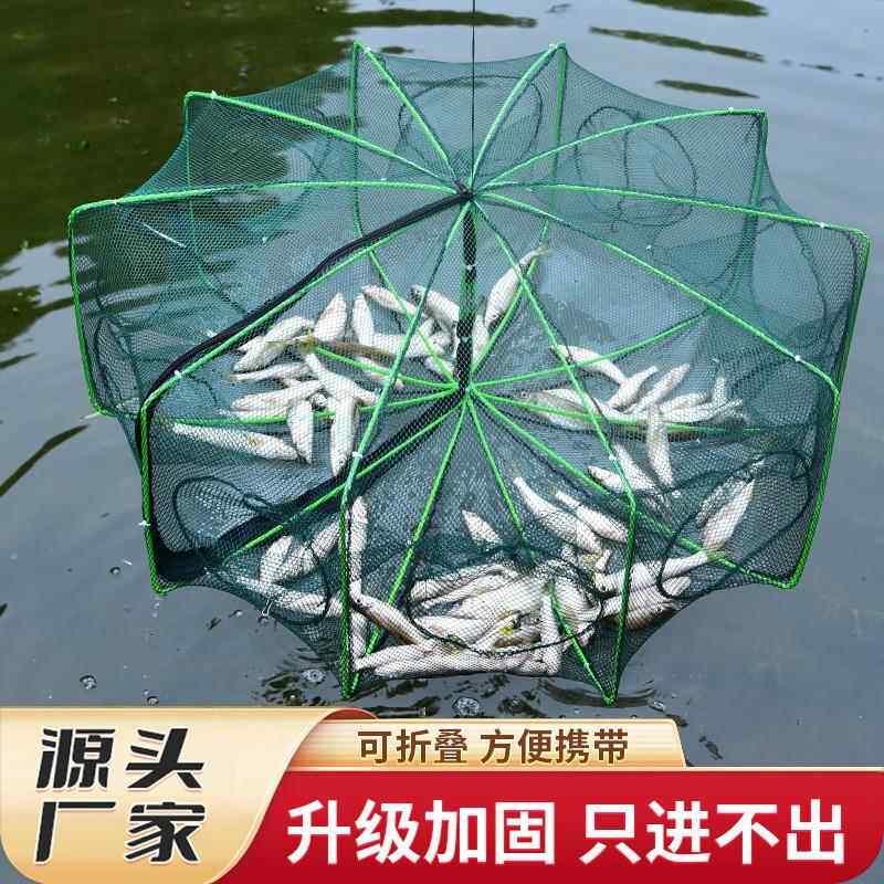 折叠虾笼捕鱼笼鱼笼虾笼黄鳝渔网龙虾网笼捕虾网鱼网花篮抓扑神器
