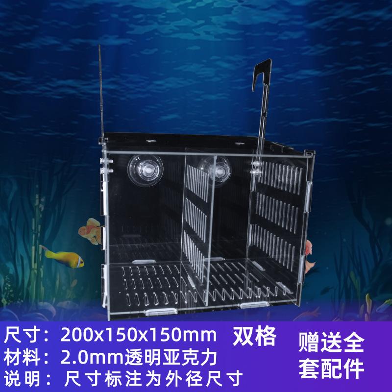 鱼缸隔离网盒繁殖饲养孵化鱼缸混养隔离苗鱼斗鱼带鱼活体生鱼小号图片