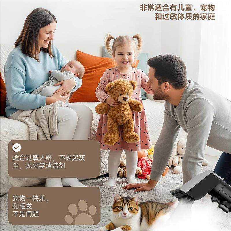 欧小型沙发布艺喷去油家地毯窗吸611帘床垫清用洁高规温蒸汽清洁