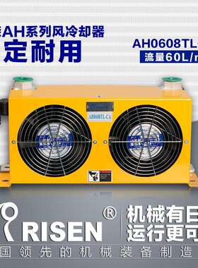 日森风冷却器铝合金散热器RISENAH0608TL-CA板翅式微通道油冷器