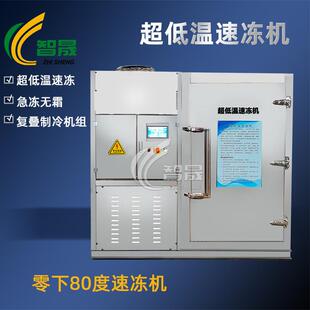 超低温速冻机小型-80度榴莲混沌丸子速冻柜油条鸡排急冻柜