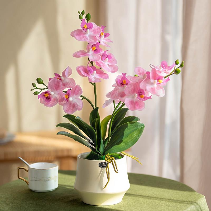 粉色蝴蝶兰彷真盆栽套装绿植花艺室内家居装饰精致优雅摆件