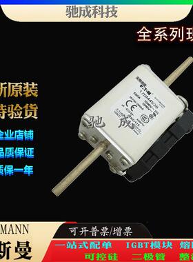 巴斯曼170M4537 170M4538 170M4539 大量现货销售 快速熔断器