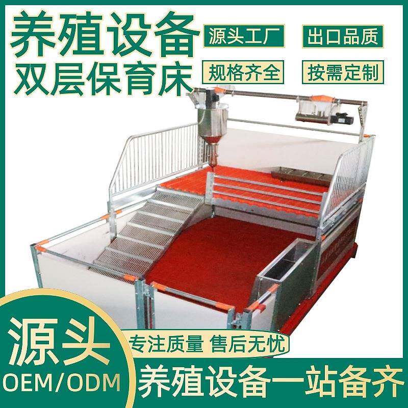 正红农牧养殖设备 养殖场仔猪双层保育床PVC小猪仔猪二层保育床
