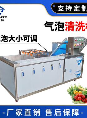 厂家直销全不锈钢蔬菜清洗机气泡清洗机净菜加工果蔬臭氧洗菜机
