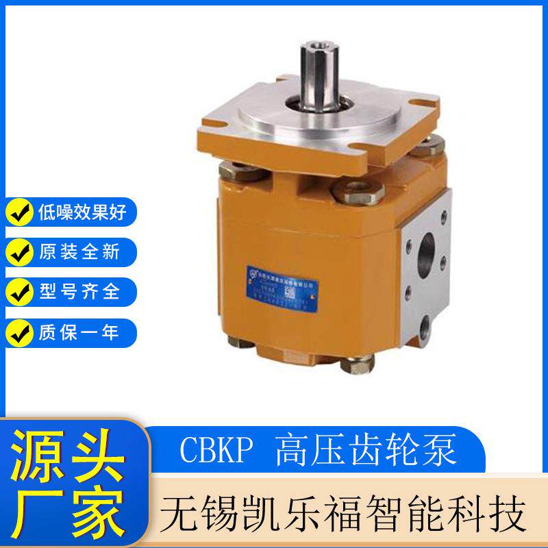 摊铺机油泵CBKP32-BFΦR,CBKP40-BFΦR装载机油泵 升降机油泵