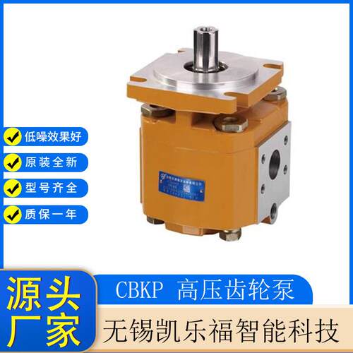 摊铺机油泵CBKP32-BFΦR,CBKP40-BFΦR装载机油泵 升降机油泵