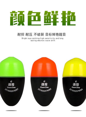 漂电子夜光浮票夜光双色夜钓肌钓远投漂