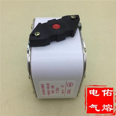 RS87 aR 快速熔断器100KA 1100A 1200A 1250A 1400A 1500A 1600A