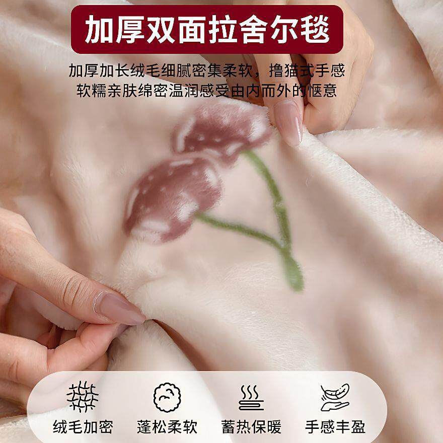 双层加厚冬季毛毯拉舍尔毯秋冬季盖毯沙发午睡毯单人宿舍毯子