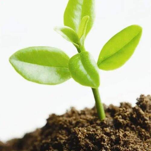 K92A Cocos Coir Brick for Plant Organic Compressed Coconuts