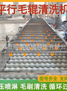 橙子平行毛辊清洗机 砂糖橘清洗风干分选流水线设备 柠檬柚子洗果