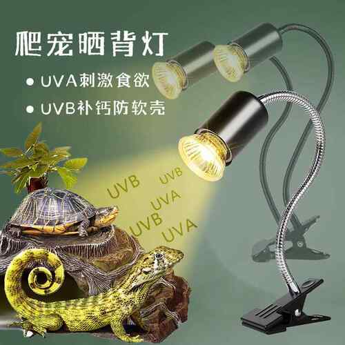 乌龟晒背灯宠物饲养箱龟缸UVA加热灯蜥蜴守宫爬宠UVB全光谱太阳灯