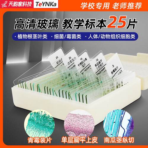 25片装显微镜观察永久标本切片学生教学实验动植物细菌样本载玻片